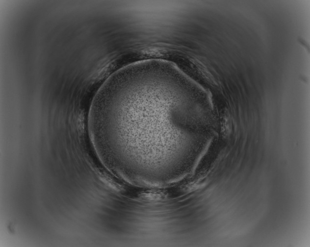 X0000091850466200709191100