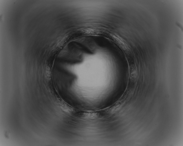 X0000091850469200709191100