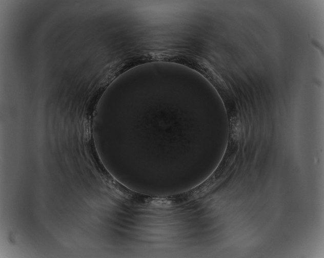 X0000091850471200709191100