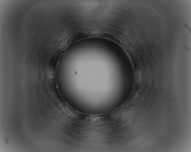 X0000091850472200709191100
