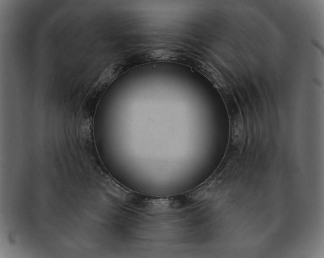 X0000091850473200709191100