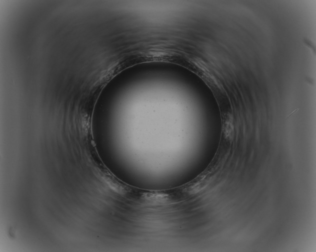 X0000091850476200709191100