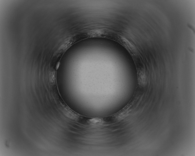 X0000091850477200709191100