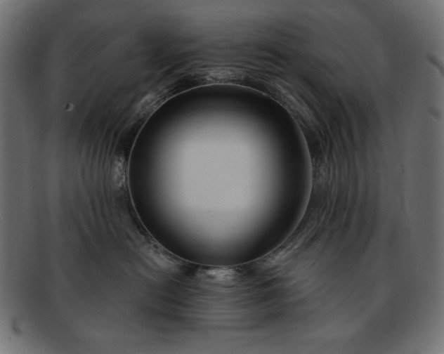 X0000091850478200709191100