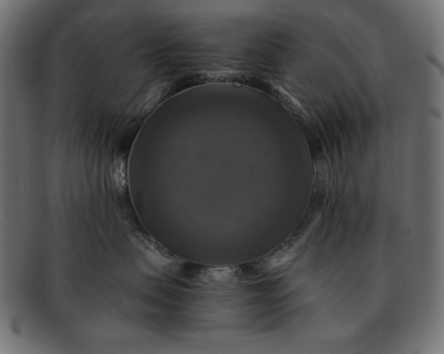 X0000091850479200709191100