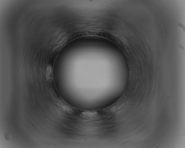 X0000091850480200709191100