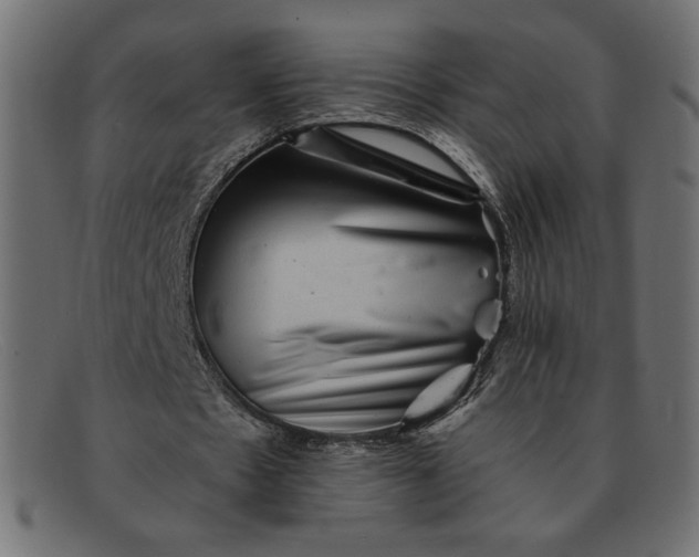 X0000091850481200709191059