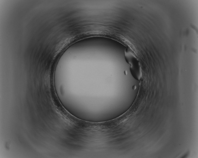 X0000091850482200709191059
