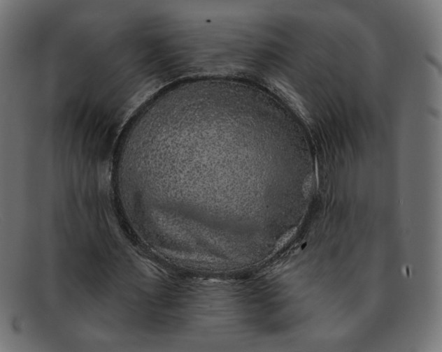 X0000091850483200709191059