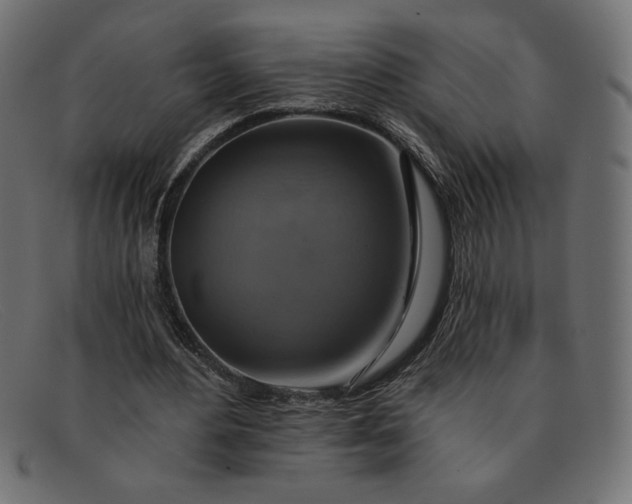 X0000091850484200709191059