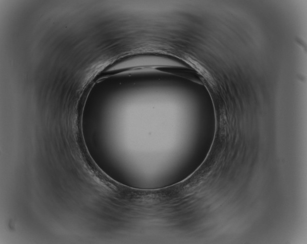 X0000091850485200709191059