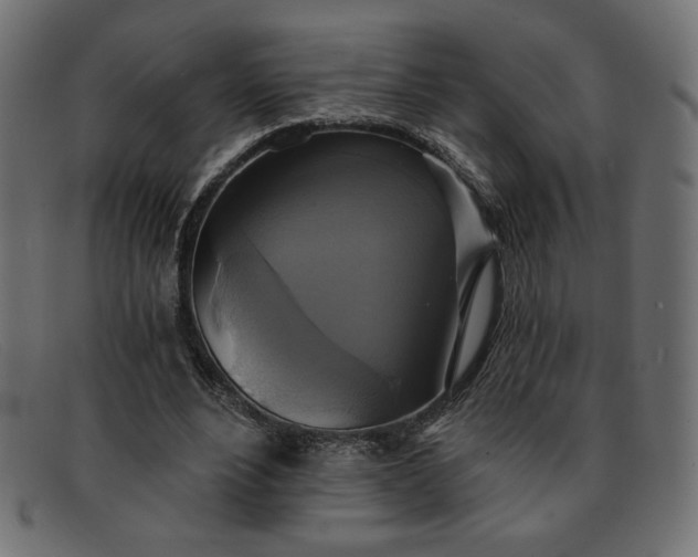 X0000091850488200709191059