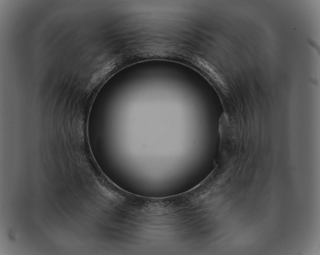 X0000091850489200709191059
