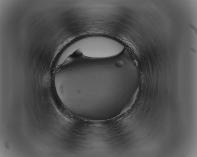 X0000091850492200709191059