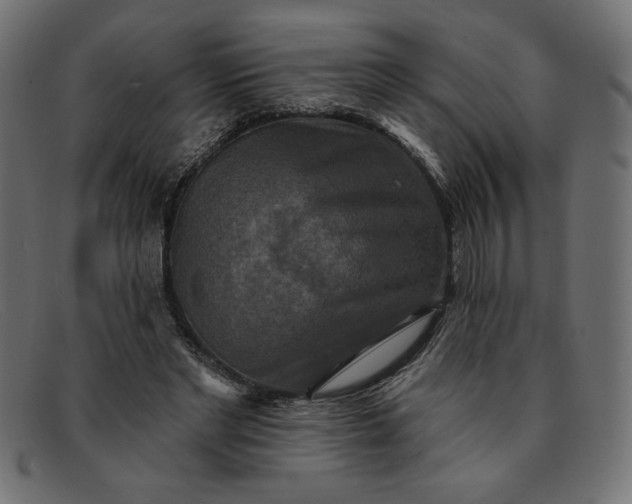 X0000091850493200709191059