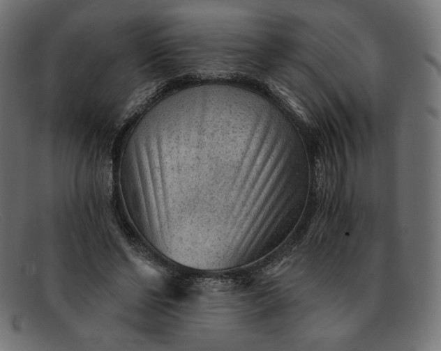 X0000091850494200709191059