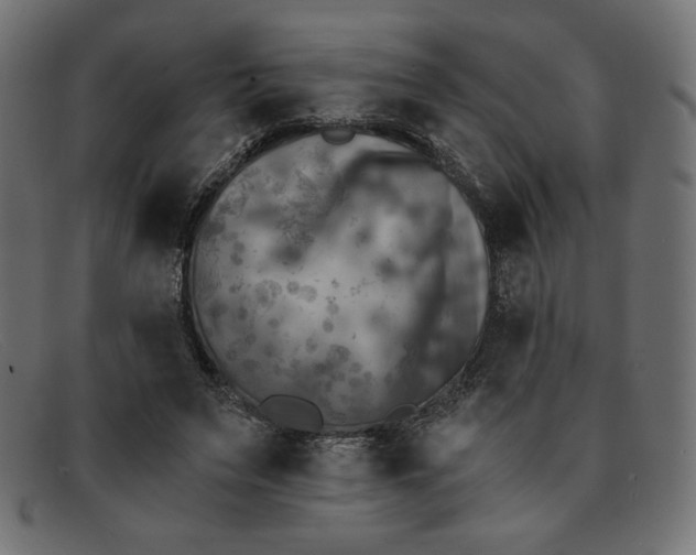 X0000091850495200709191059