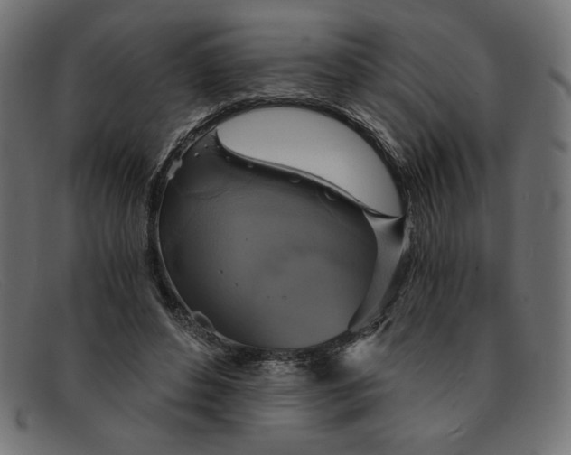 X0000091850496200709191059
