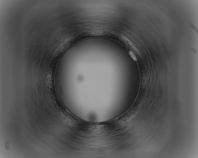 X0000091850497200709191059