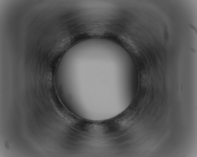 X0000091850498200709191059