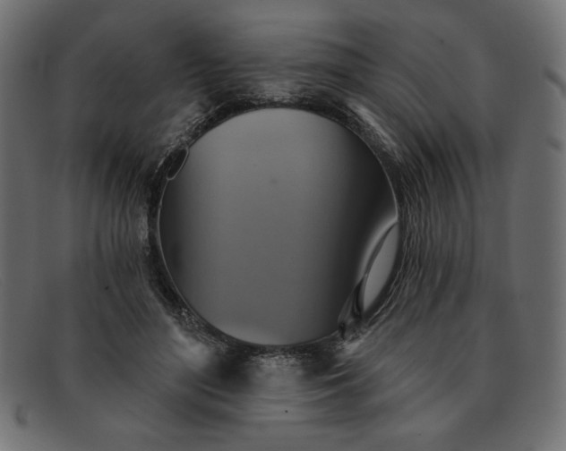 X0000091850500200709191059