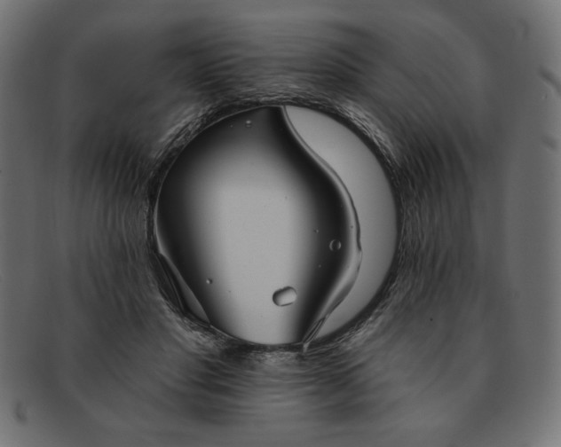 X0000091850501200709191059