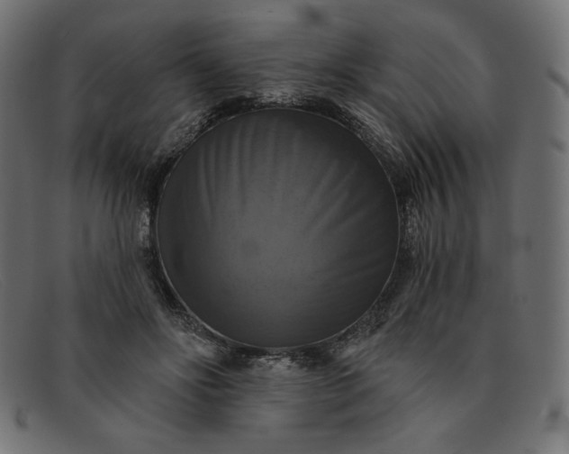 X0000091850502200709191059