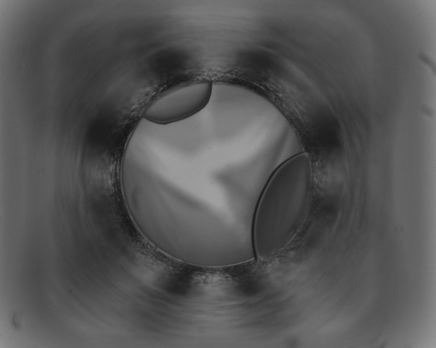 X0000091850503200709191059