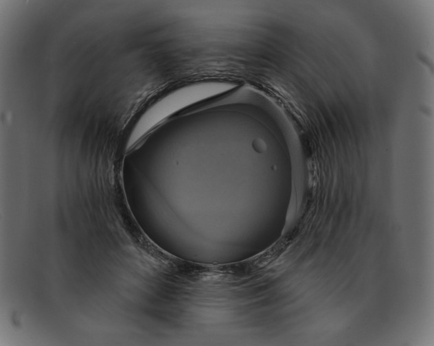 X0000091850504200709191059