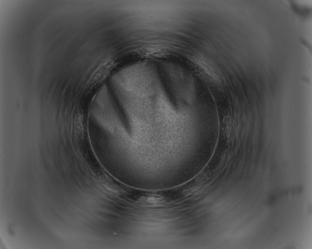 X0000091850506200709191059