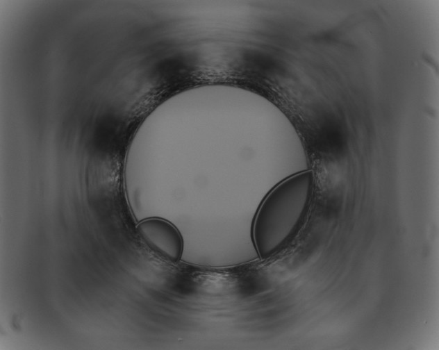 X0000091850507200709191059