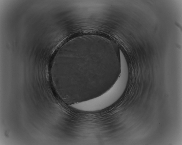 X0000091850508200709191059