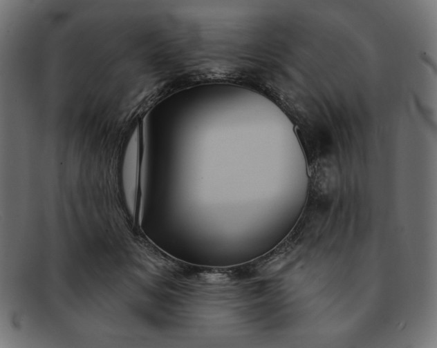 X0000091850509200709191059