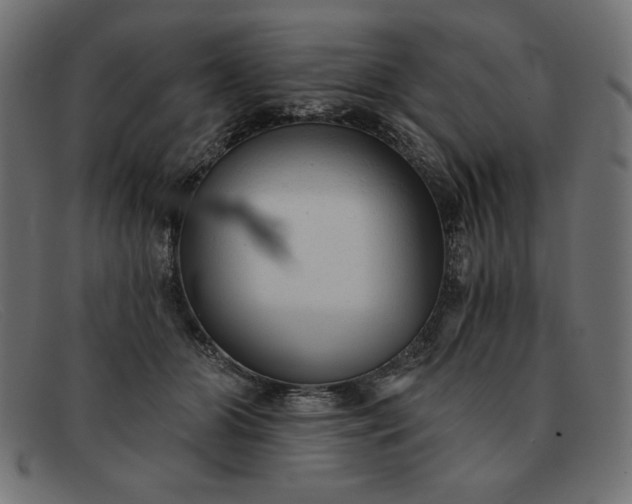 X0000091850510200709191059