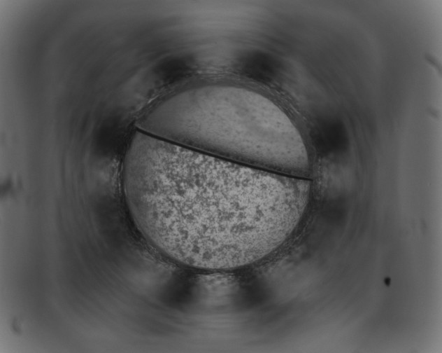 X0000091850511200709191059