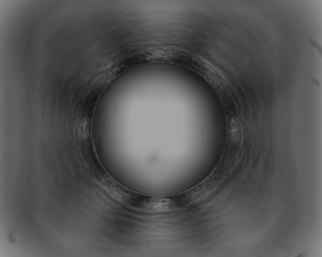 X0000091850514200709191059