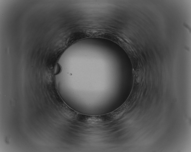 X0000091850515200709191059