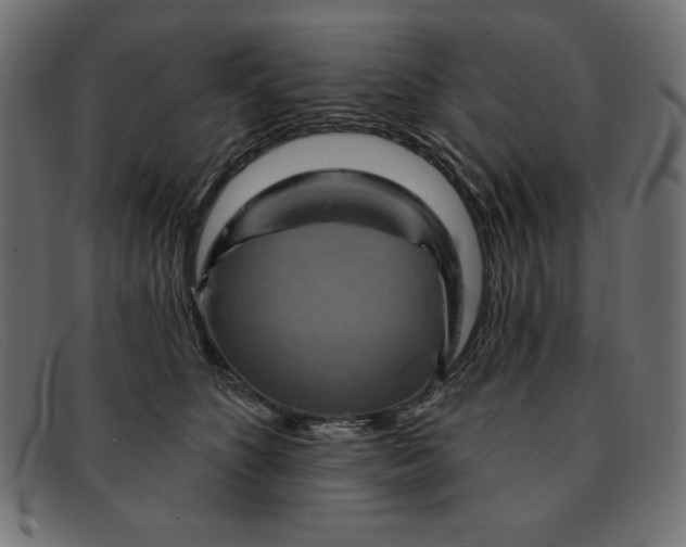 X0000091850516200709191059