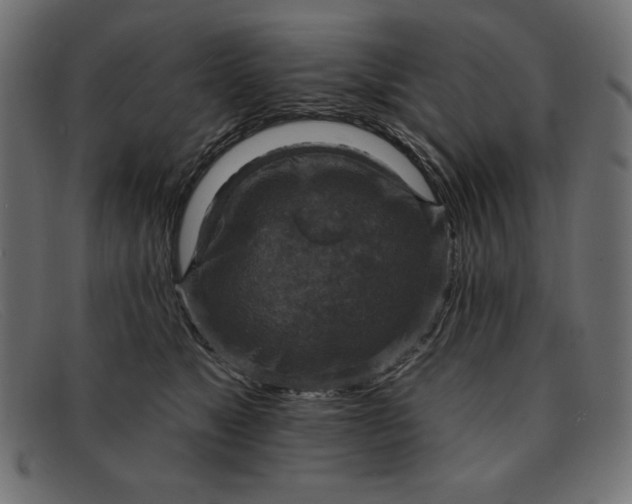 X0000091850517200709191059