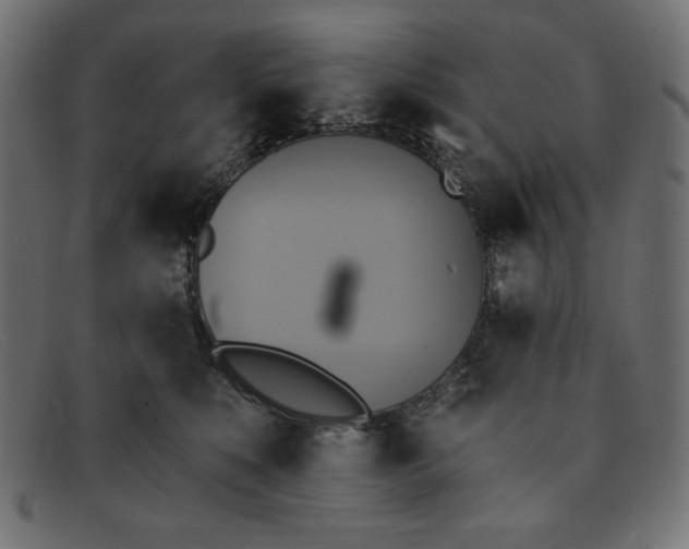 X0000091850519200709191059
