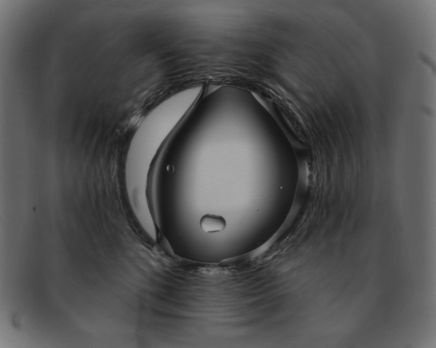 X0000091850520200709191059