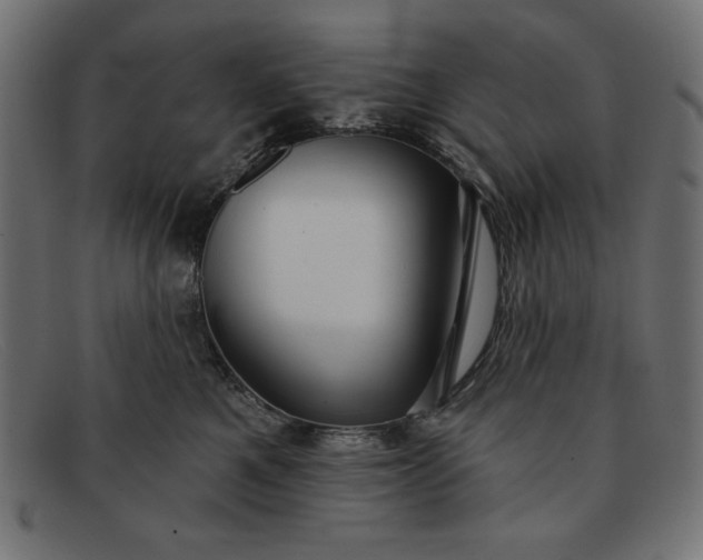 X0000091850521200709191059