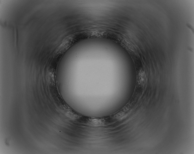X0000091850522200709191059