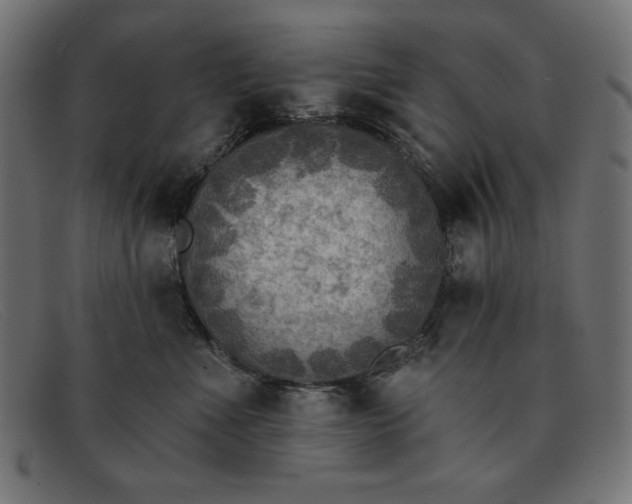 X0000091850523200709191059