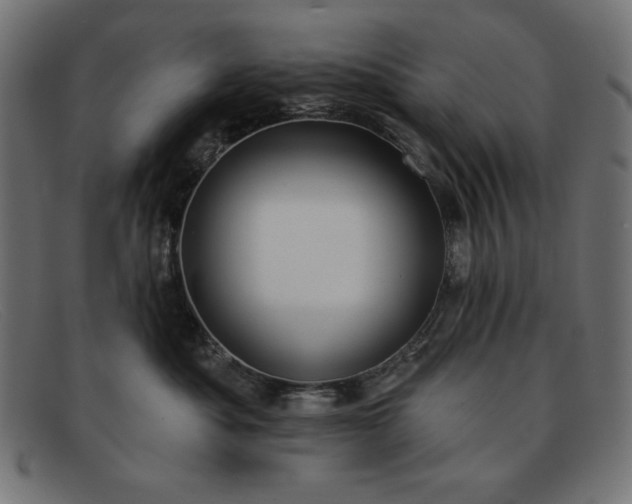 X0000091850525200709191059