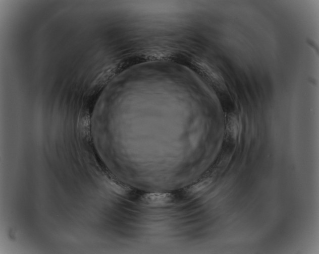 X0000091850526200709191059
