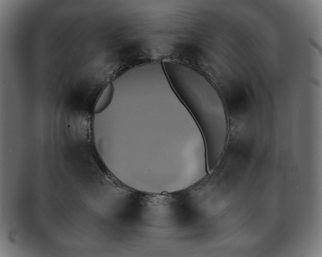 X0000091850527200709191059