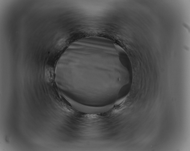 X0000091850528200709191059