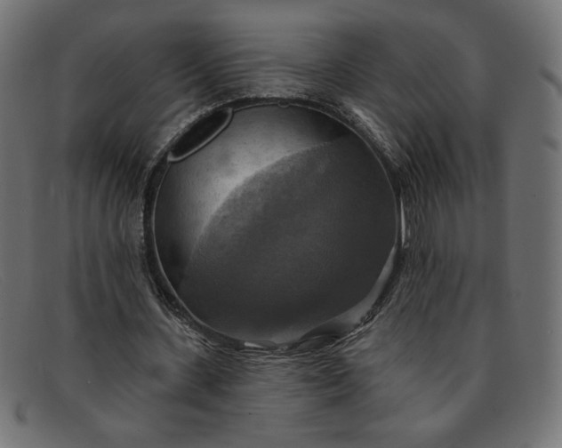 X0000091850531200709191058