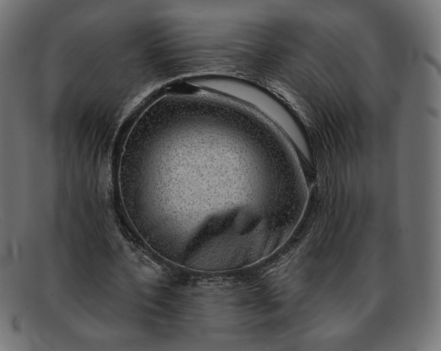 X0000091850532200709191058